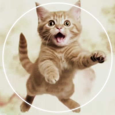 Felix_XD78950's profile picture. ..!