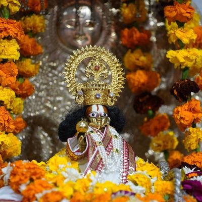 Sujeetkumar691's profile picture. 