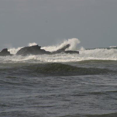 WaveReflected's profile picture. 