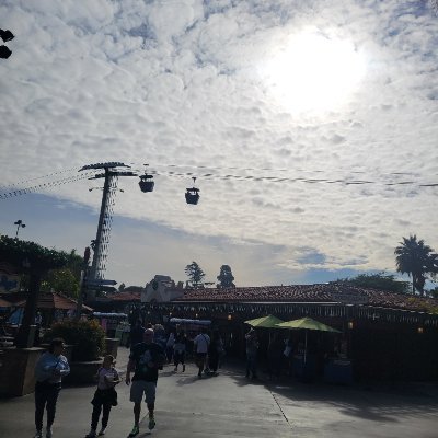 wBoredApeYC's profile picture. Proud American Goy.....anti-zionist....dedicated to exposing jewish supremacy.....I'm anti-semetic fully.