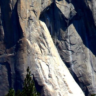 AlRockLu's profile picture. The Real Rock.