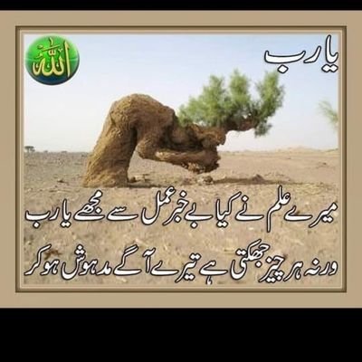 mr_ha53432's profile picture. 