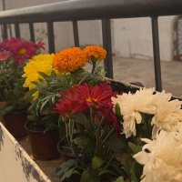 Rain (@layderani) Twitter profile photo