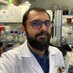 Germán Tortosa Muñoz Profile picture