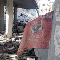 Ahmed (@ahmed46629542) 's Twitter Profile