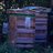 MaldonBeekeeper's profile image