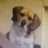 Juancho_Gs_'s profile image