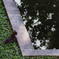 Münzevi (@munzevitr) 's Twitter Profile