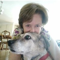 Guzide Erden (@ucukyesil) 's Twitter Profile