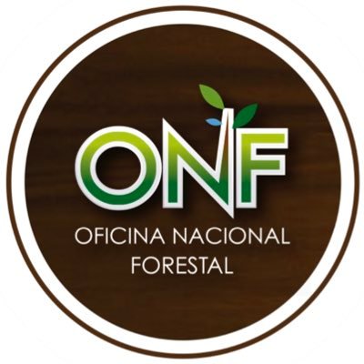 La Oficina Nacional Forestal fue fundada en 1996. Promueve el uso de la madera; con ello, genera beneficios ambientales, sociales y económicos.