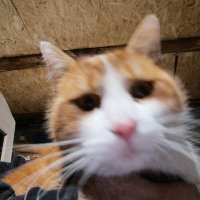 Enry B. (@riccu81) 's Twitter Profile