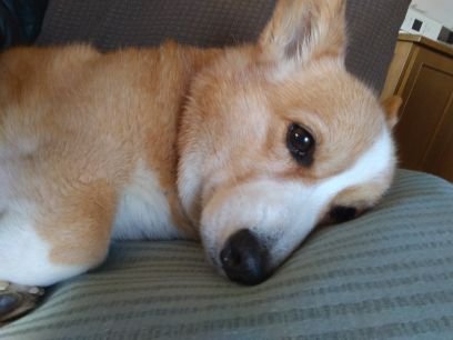 NyTn9_kine's profile picture. 株式会社トライファクションに所属しています。
シナリオライターです。