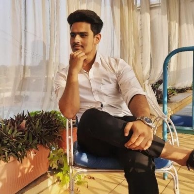 anshumansp16's profile picture. I trained my demons to behave, now they whisper strategy.