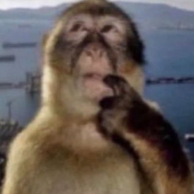 aoifeshmeefa's profile picture. 