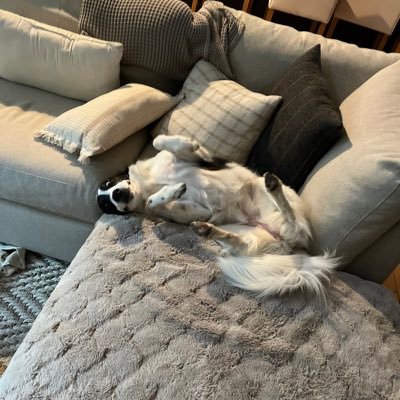 djcfromtheOC's profile picture. 