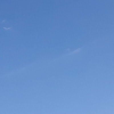 selmiskander92's profile picture.