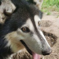 Bryan Whitley (@bbackon3) 's Twitter Profile