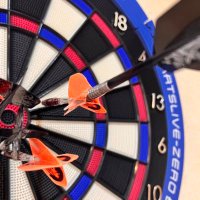 けんけん (@kento_darts) 's Twitter Profile