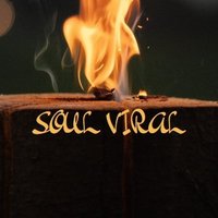 SOUL VIRAL(@soulvirals) 's Twitter Profile Photo
