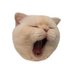 hambaamatiran (@g11gzz) Twitter profile photo hambaamatiran (@g11gzz) Twitter profile photo