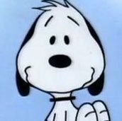 irl snoopy