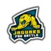 Jaguars Fan Battle (@jagsfanbattle) Twitter profile photo Jaguars Fan Battle (@jagsfanbattle) Twitter profile photo