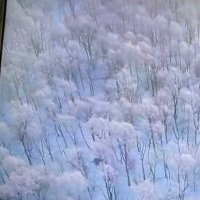 Masroor (@masroork) 's Twitter Profile