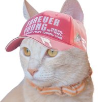 まいる (@randam_name) 's Twitter Profile Photo まいる (@randam_name) 's Twitter Profile Photo