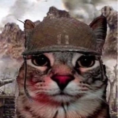 StumbleroG's profile picture. Professional Brawl Stars Player By: @TeamHmble