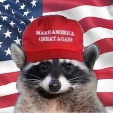 I'm here for America, liberty, memes, TaTa's, dogs, guns and punk rock.  In no particular order.  Profile pic shamelessly stolen from @cashpanda6 Thanks ‘Coon!
