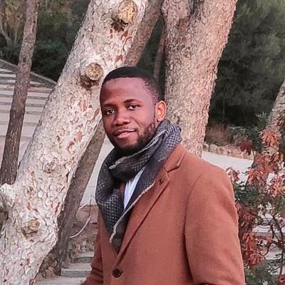 abakamousa's profile picture. PhD Computer Science | AI Engineer