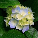 narda lopez - @nardislofra2011 - Twitter