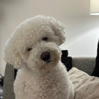 Mccoll Denise (@twinmumdee) 's Twitter Profile