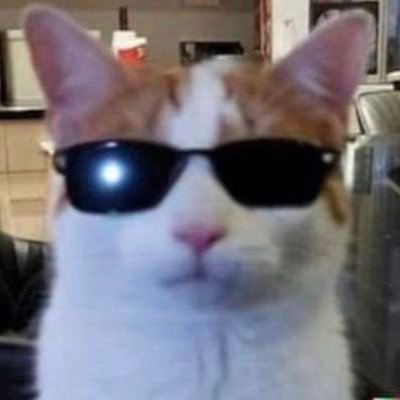 Inaki_steinberg's profile picture. Replicante nexus-6