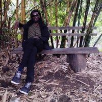 Acousteve Anariko (@a_anariko) 's Twitter Profile