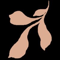 PATTERNISSE (@patternisse) 's Twitter Profile