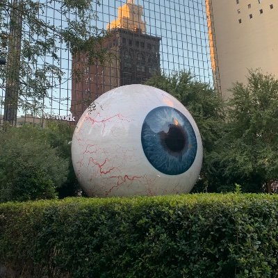 Manship_'s profile picture. Avid liver of life. Go Jags! Go UW Huskies!