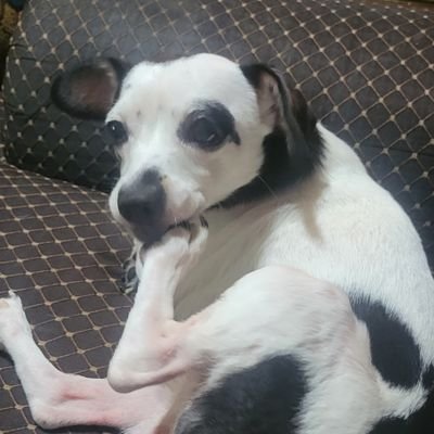 AiricAiric's profile picture. 