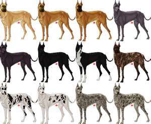 lynpappas's profile picture. Happily married mother of two beautiful young women, two great danes, three kitty cats and two grand kitty cats all under one roof.