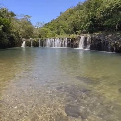 belle_violin24's profile picture. 