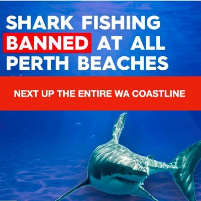 Respect Existence or Expect Resistance 
Activism Group for Sharks on the West Coast of Australia
https://t.co/7EPJa2KEOZ