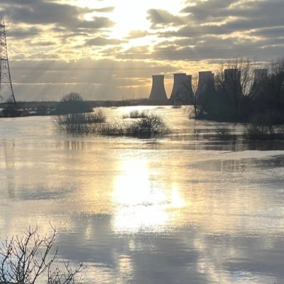 MrsWteach23's profile picture. 