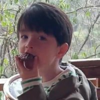 Binggo (@gzz0lyly) Twitter profile photo