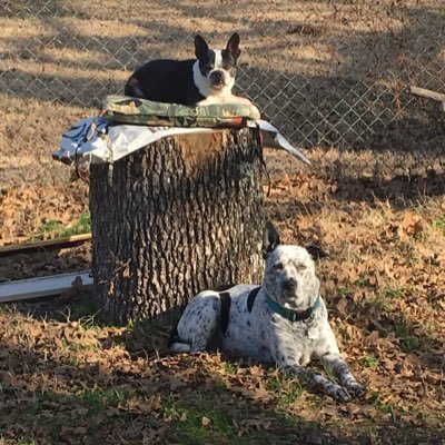 Tim882015959276's profile picture. Conservative - 🇺🇸1st