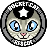 🚀RocketCatRescue🐈(@RocketCatRescue) 's Twitter Profile Photo