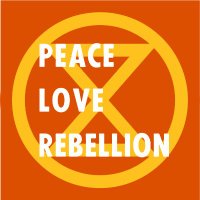 Extinction Rebellion Pathways(@xrPathways) 's Twitter Profile Photo