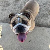 UncleJay (@unclej520) 's Twitter Profile
