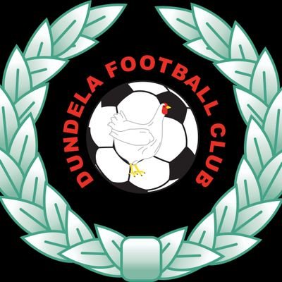 Official account for Dundela Football Club.                       Established 1895.      #UpTheDuns🐔🟢⚪️