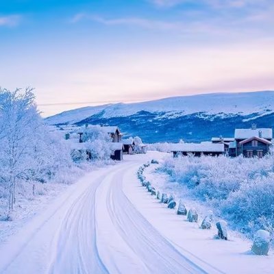 马路边，白雪给人行道盖上了白被子，被子上又留下了人们一串串的脚印，白雪给树们披上了白披风，使它们变得更加威武了。