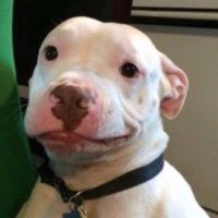 DV ☀️ (@diegovg58) 's Twitter Profile Photo